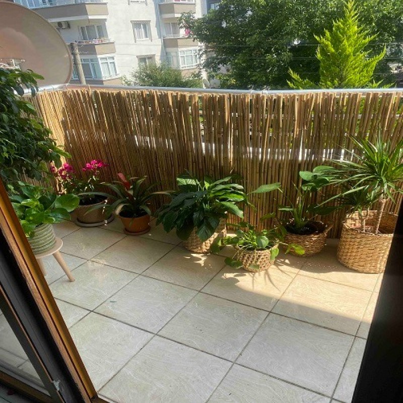 Dekoratif Doğal Hasır Kamış Çit 50 cm x 5 metre