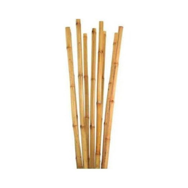 Dekoratif Doğal Hasır Bambu Çubuk 2 Metre 20 Adet Dekoratif Doğal Hasır Bambu Çubuk 2 Metre 20 Adet