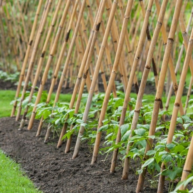 Dekoratif Doğal Hasır Bambu Çubuk 1,50 Metre 20 Adet.