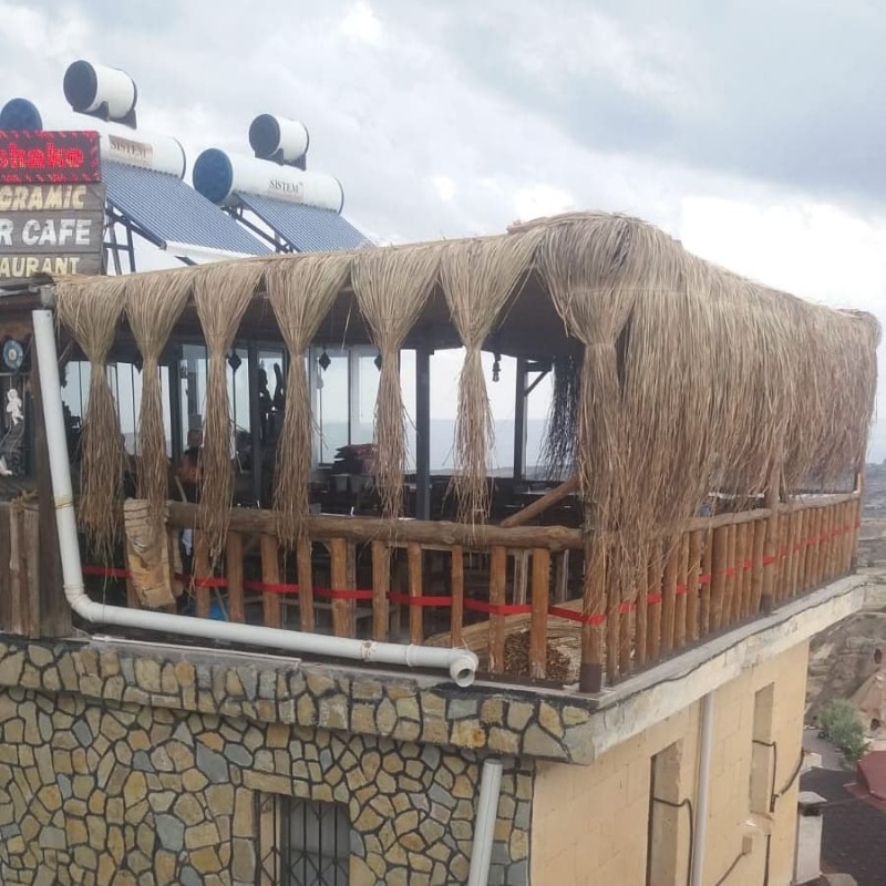 Dekoratif Doğal Püskül Otu / Saçak Otu