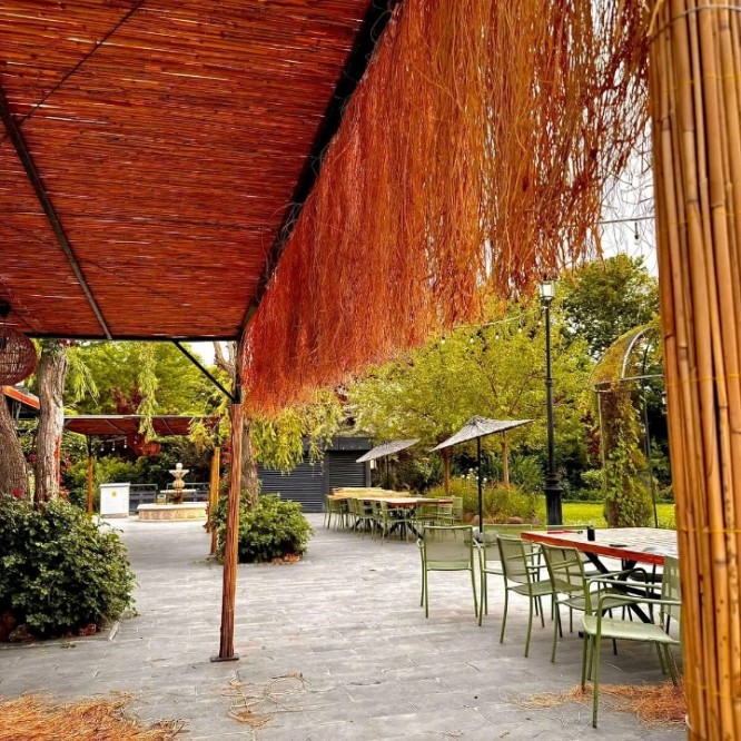 RAFYA PÜSKÜL OTU SACAK OTU 0,50X2 RAFYA PÜSKÜL OTU SACAK OTU 0,50X2