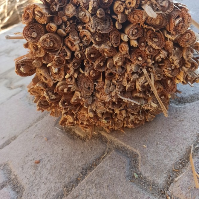 Sepet Sele Yapım Malzemesi Kındıra Otu